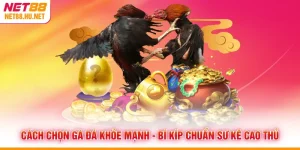 Cách Chọn Gà Đá Khỏe Mạnh - Bí Kíp Chuẩn Sư Kê Cao Thủ