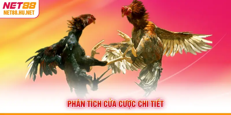  Phân tích cửa cược chi tiết